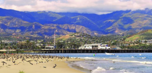 a beach with birds and a pier in the background